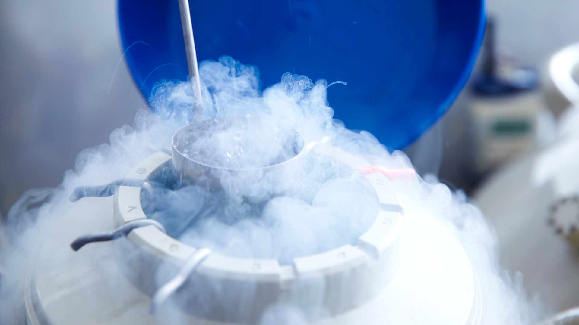 Egg freezing