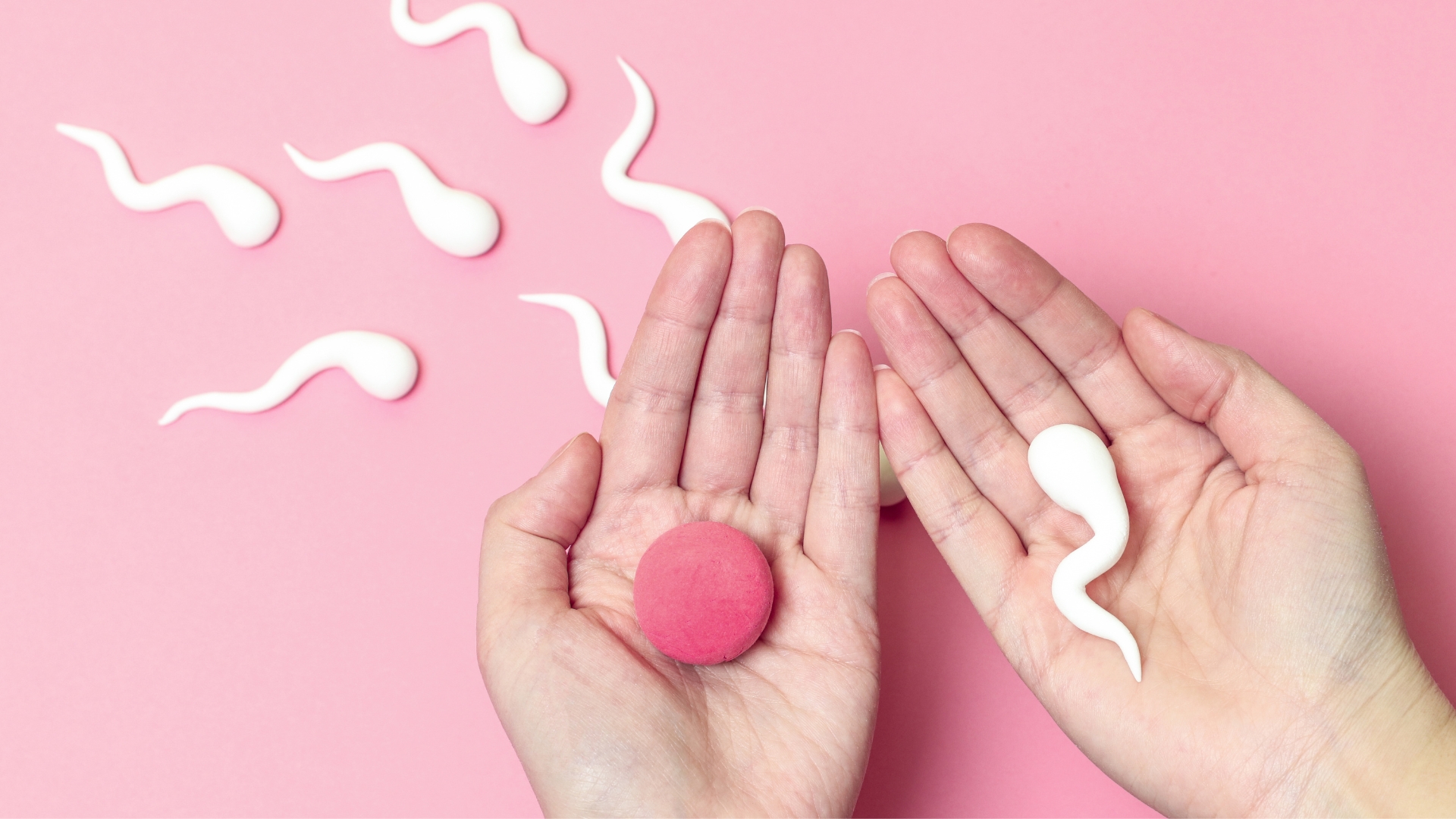 IVF with Donor Egg